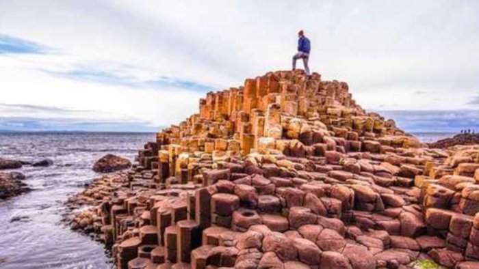 SuperSeniorsColeraine